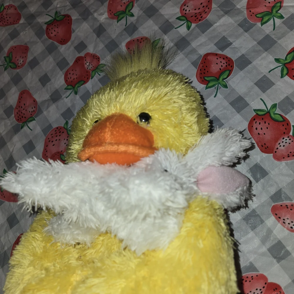 EASTER DUCK HOLDING RABBIT W/RABBIT SLIPPER SUPER FLUFFY SOFT BRIGHT BY PCB
